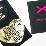 VFN2013 NaughtyDog